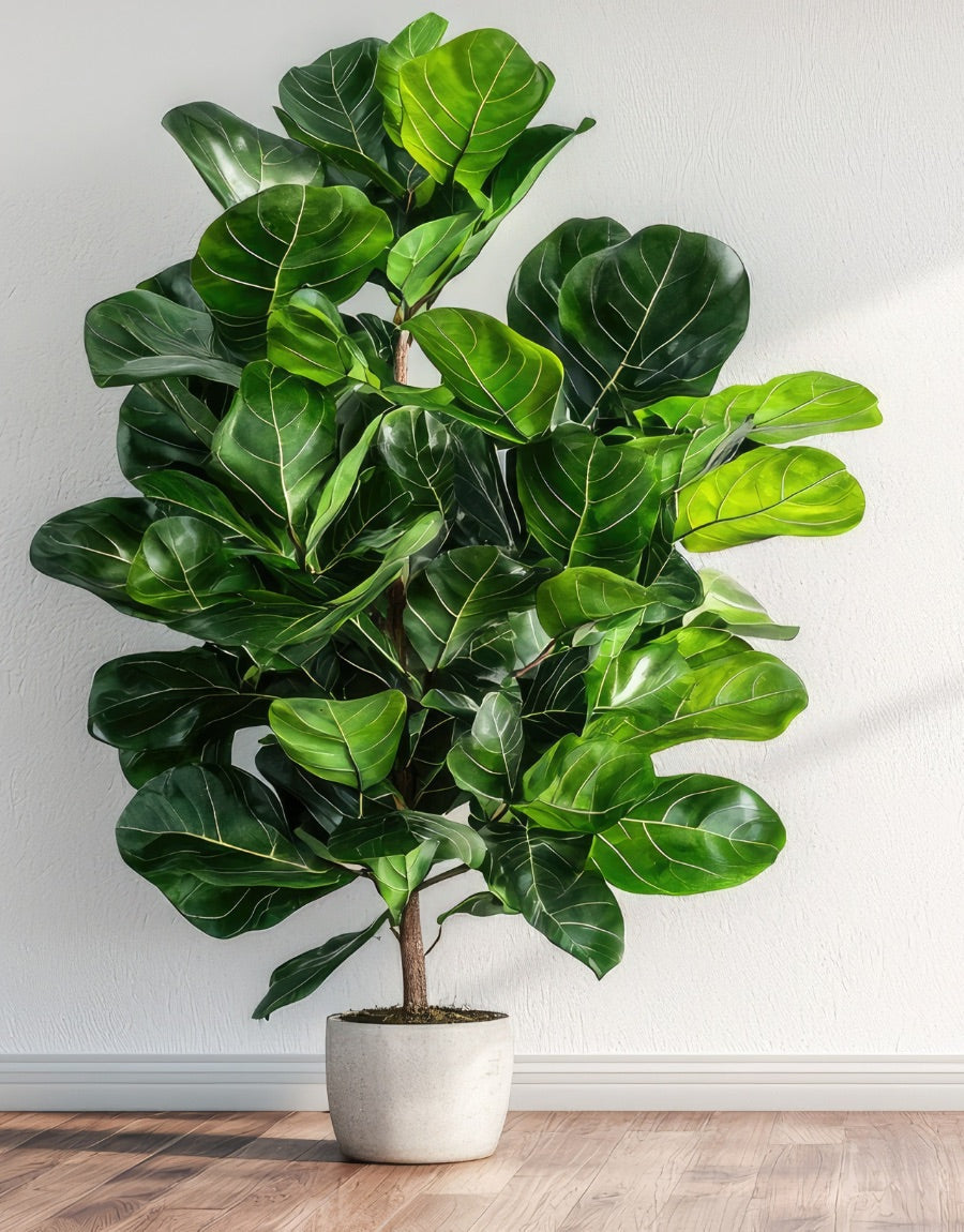 Trees