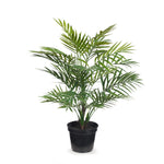 Palm Parlour