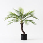 Phoenix Palm 76cm