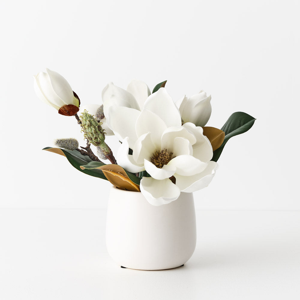 Magnolia Japanese Mix in Pot