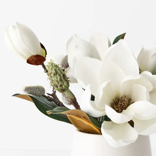 Magnolia Japanese Mix in Pot