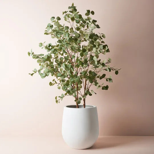Sprout Pot - White