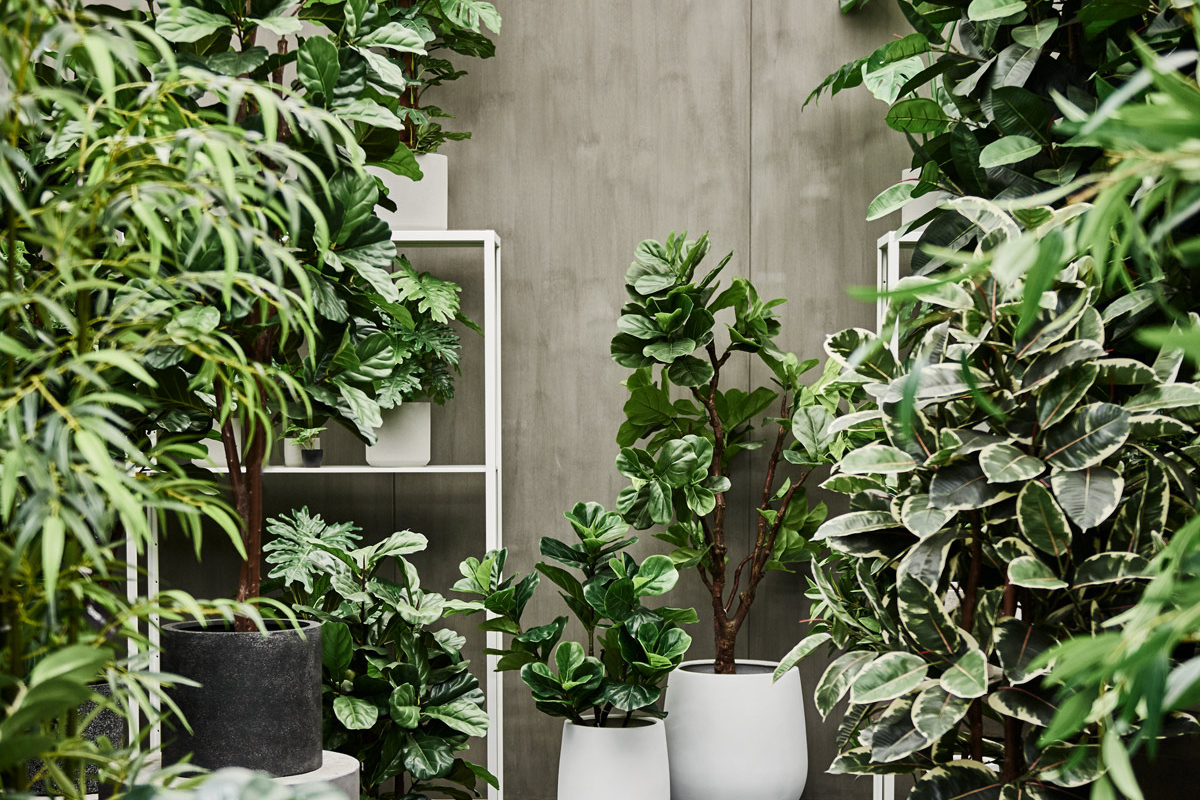 Are Artificial Plants Tacky? (Spoiler: Not Ours)