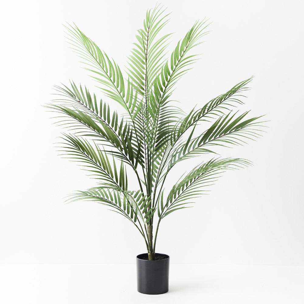 Palm Parlour