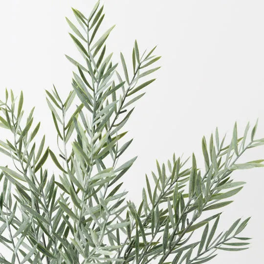 Acacia Leaf Green Grey Plant 43cm