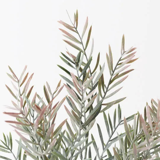 Acacia Leaf Grey Pink Plant 43cm